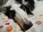 DSC002452.jpg