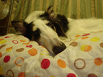 DSC002492.jpg