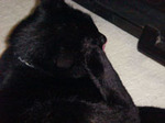 DSC002562.jpg