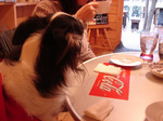 DSC003862.jpg