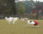 DSC004232.jpg