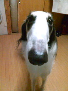20070625220530.jpg